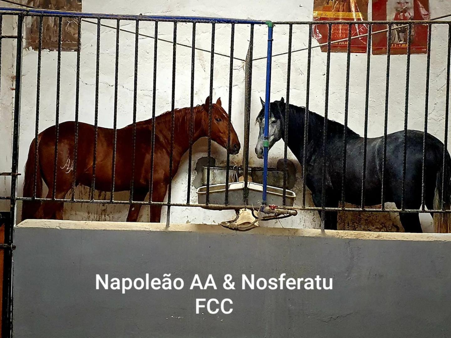 Horse Riding Country House Вила Франка ди Шира Екстериор снимка