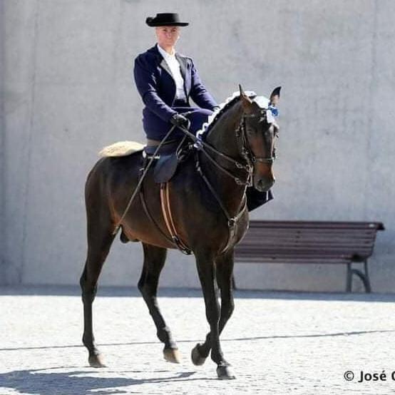Horse Riding Country House Вила Франка ди Шира Екстериор снимка