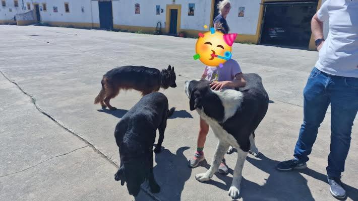 Horse Riding Country House Вила Франка ди Шира Екстериор снимка