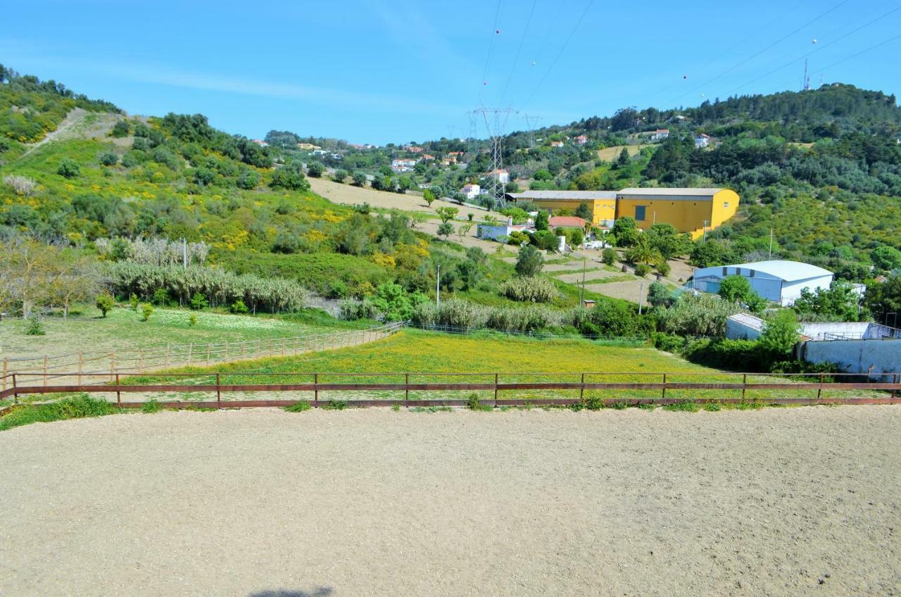 Horse Riding Country House Вила Франка ди Шира Екстериор снимка